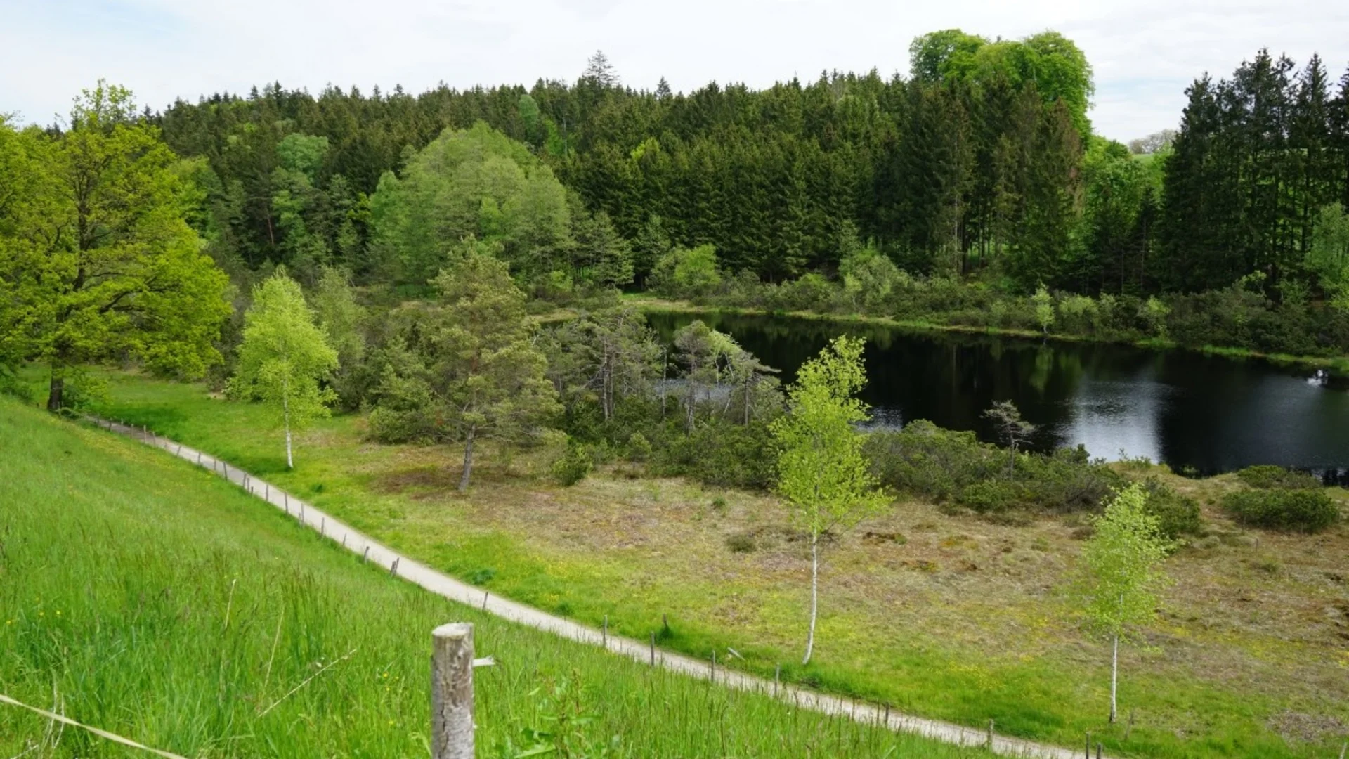 Wanderweg entlang eines Waldes und kleinen Sees im Frühling