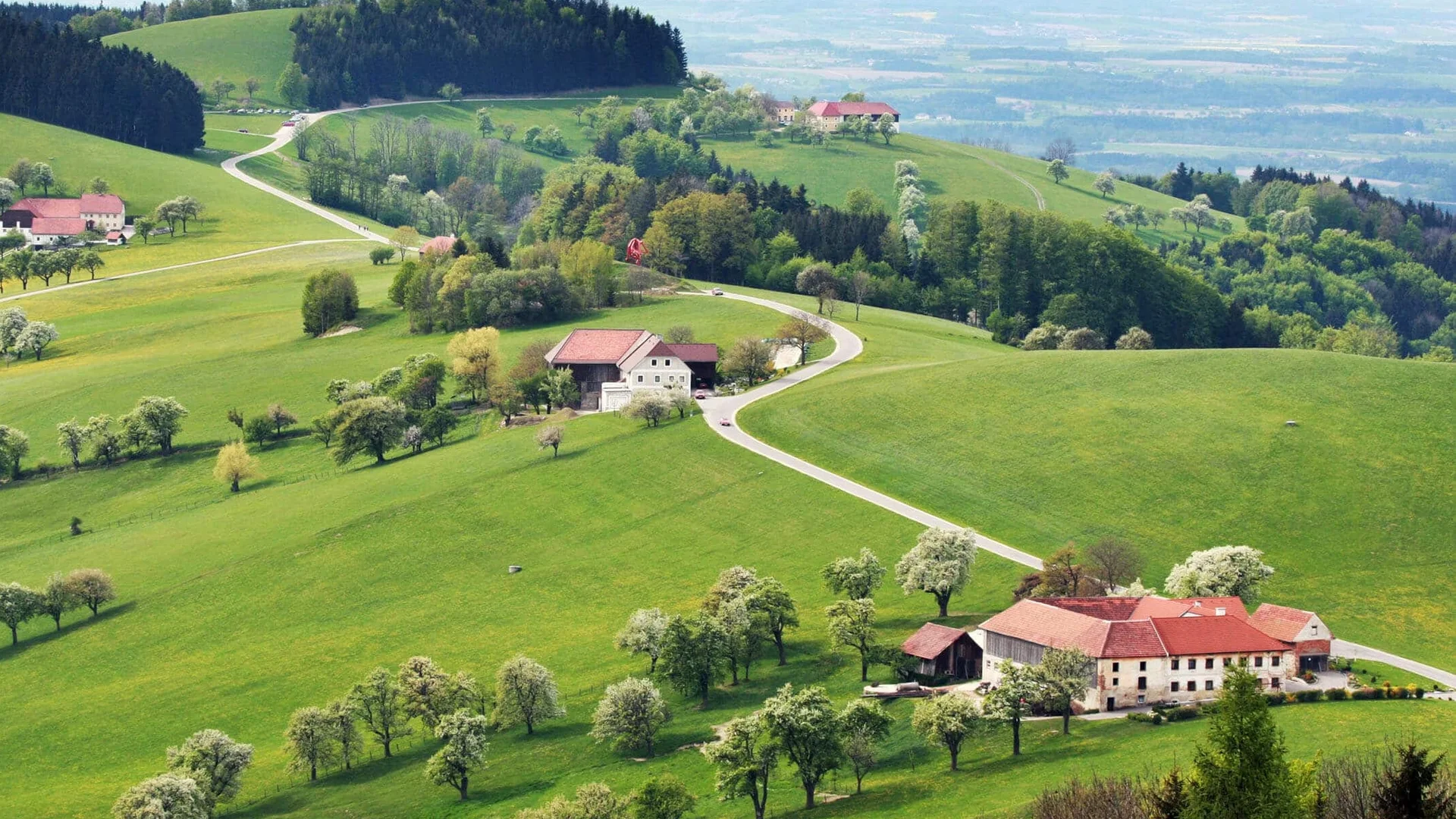 Grüne Hügel mit Bäumen und Bauernhöfen unter bewölktem Himmel