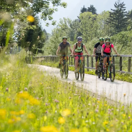 Vier fietsers fietsen op een pad naast een bloeiende weide