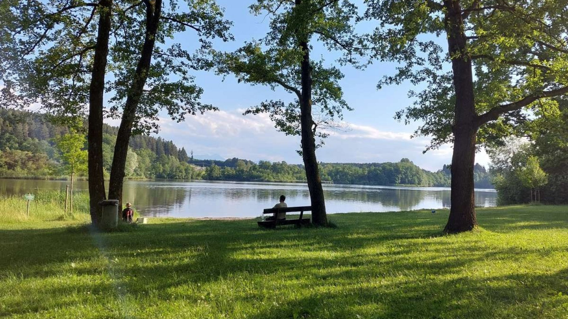 Person sitting on bench by lake shore with trees and green grass in sunlight.