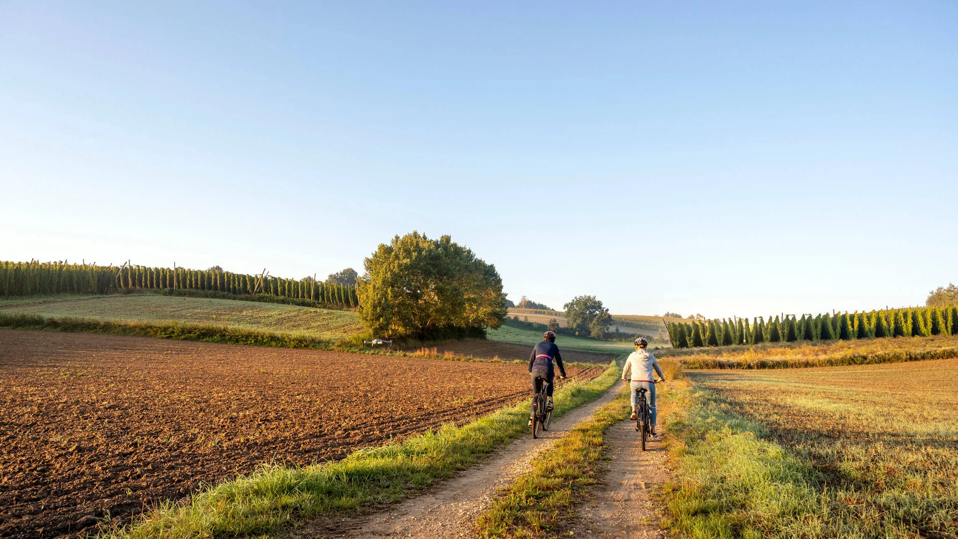 Hopfenschleife © Tourismus Oberbayern München e.V. - Peter von Felbert Zwei Radfahrer auf einem Feldweg zwischen Feldern bei klarem Himmel