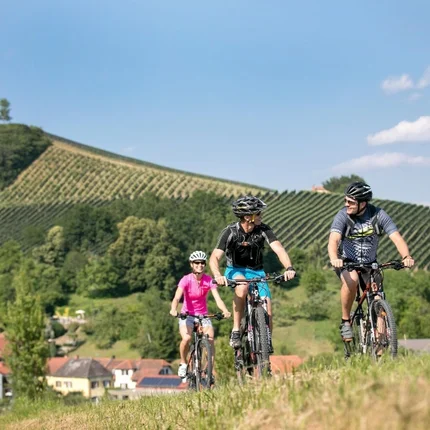 Drie fietsers fietsen op het platteland met wijngaarden op de achtergrond