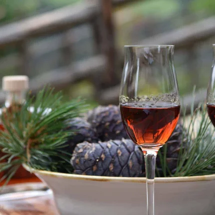 Twee glazen met donkere drank bij een bord met dennenappels en groene takken