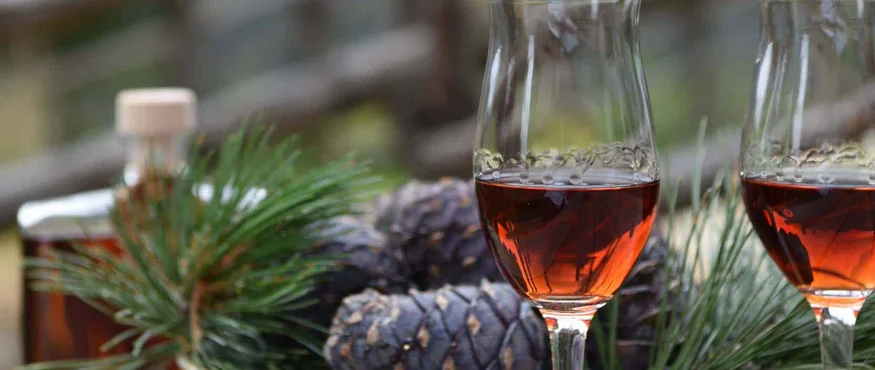 Twee glazen met donkere drank bij een bord met dennenappels en groene takken