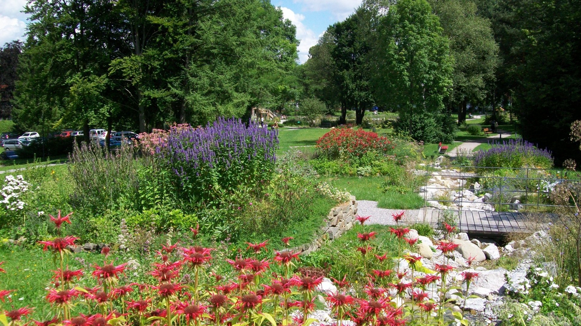 Colorful garden with flowers, trees, and a small wooden footbridge on a sunny day