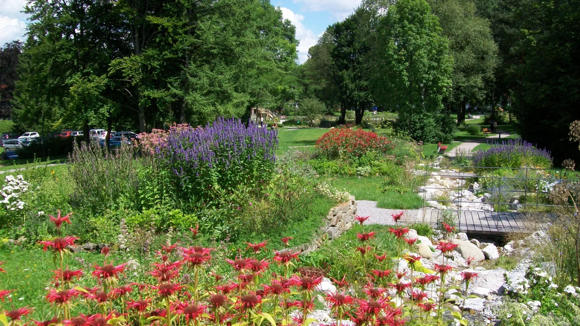 Bunter Garten mit Blumen, Bäumen und einem kleinen Holzsteg unter blauem Himmel