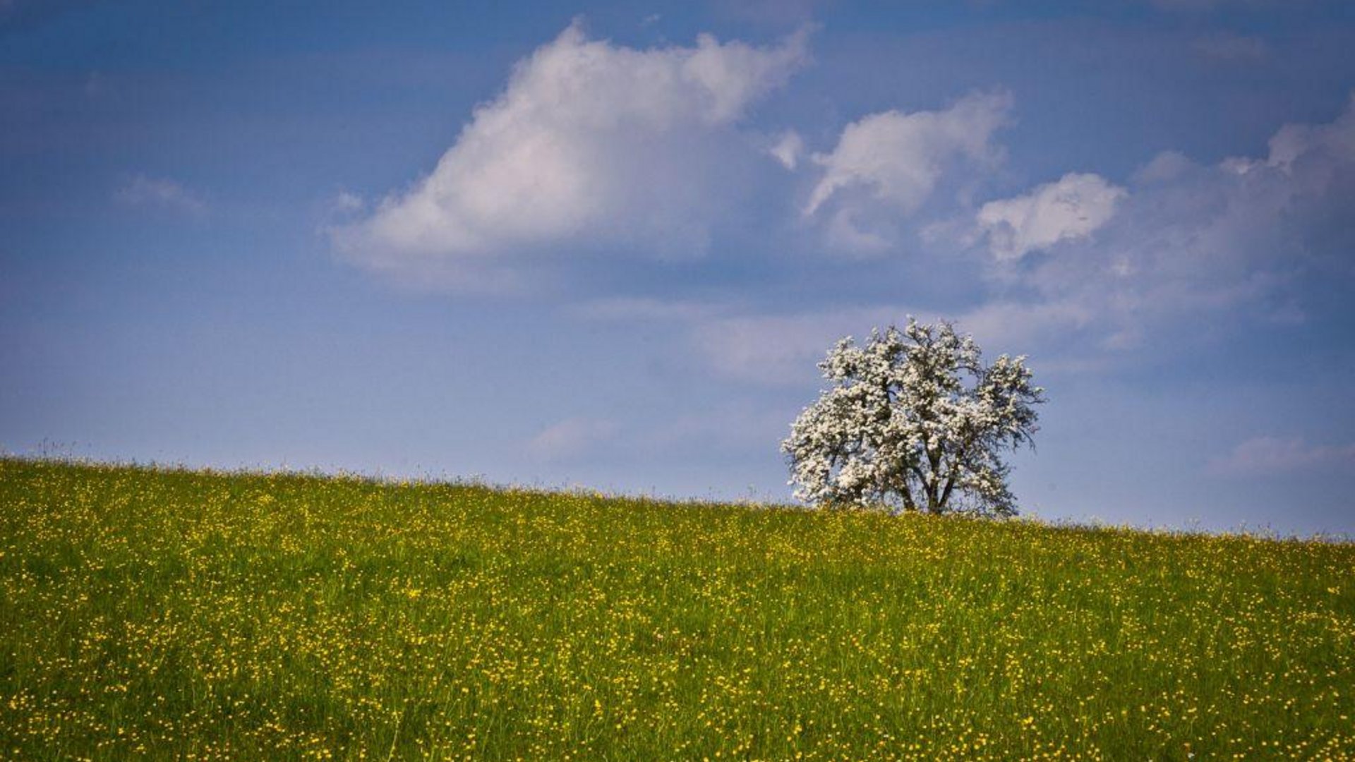 Tour-Detail © Gerald Fimberger Tour-Detail