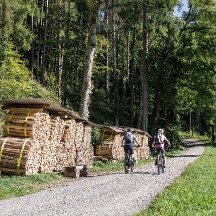 Hartroute 99: Romanshorn - Altstätten