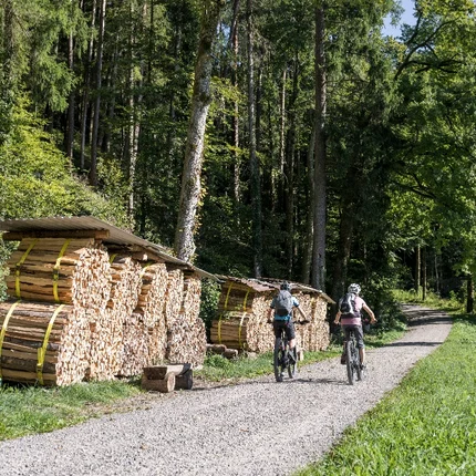Twee fietsers op een bospad naast gestapeld brandhout