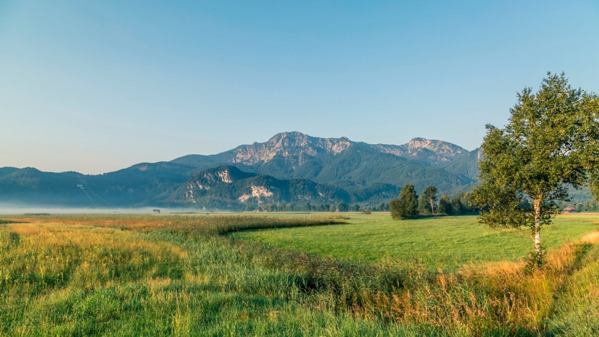 Green meadow with trees and mountains under blue sky at sunrise