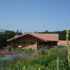 Houten huis met tuin en wilde bloemen in landelijke bergomgeving