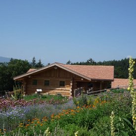 Wooden house with garden and wildflowers in rural mountain landscape