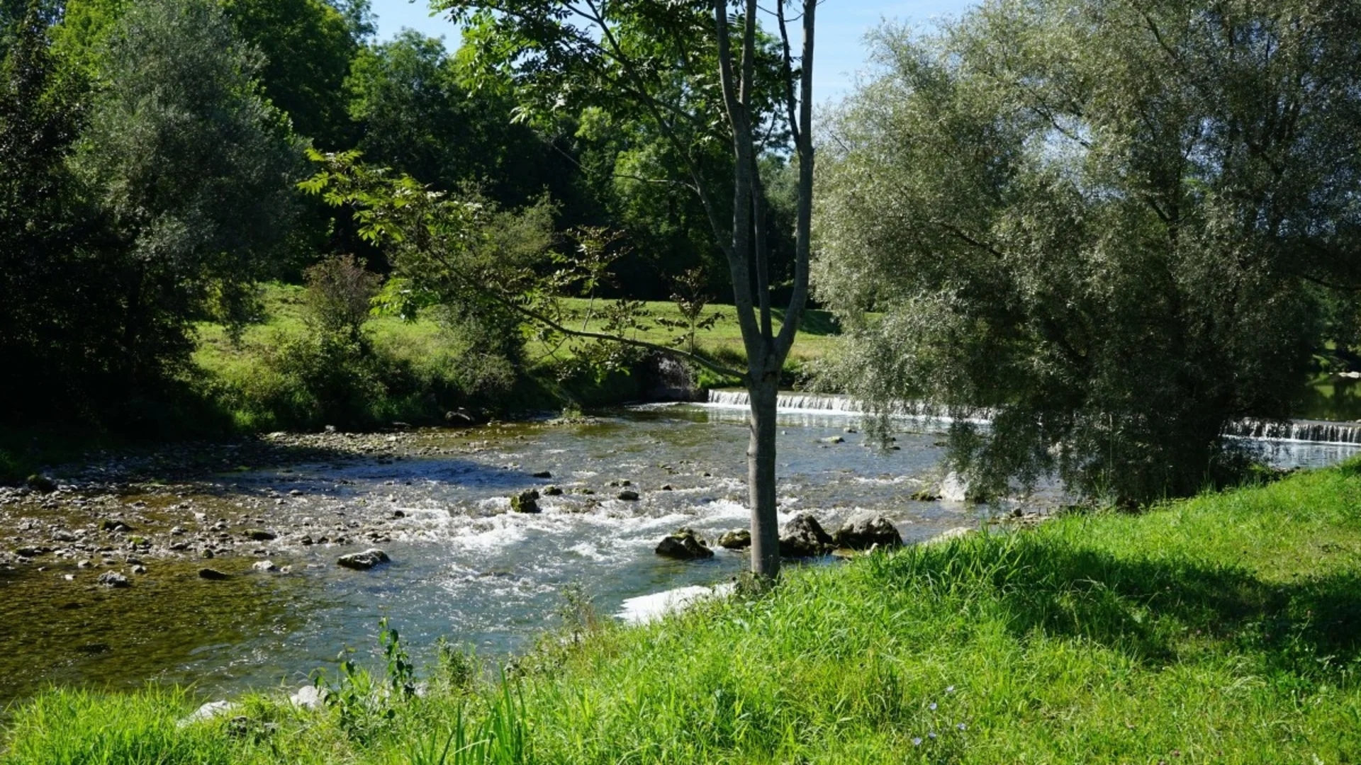 Fluss mit Grünflächen und Bäumen an einem sonnigen Tag