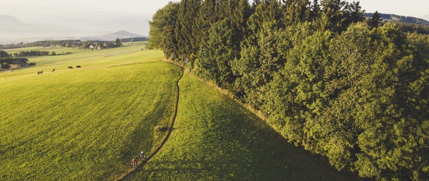 Zwei Radfahrer fahren auf einem Pfad neben einem Wald auf grünen Feldern