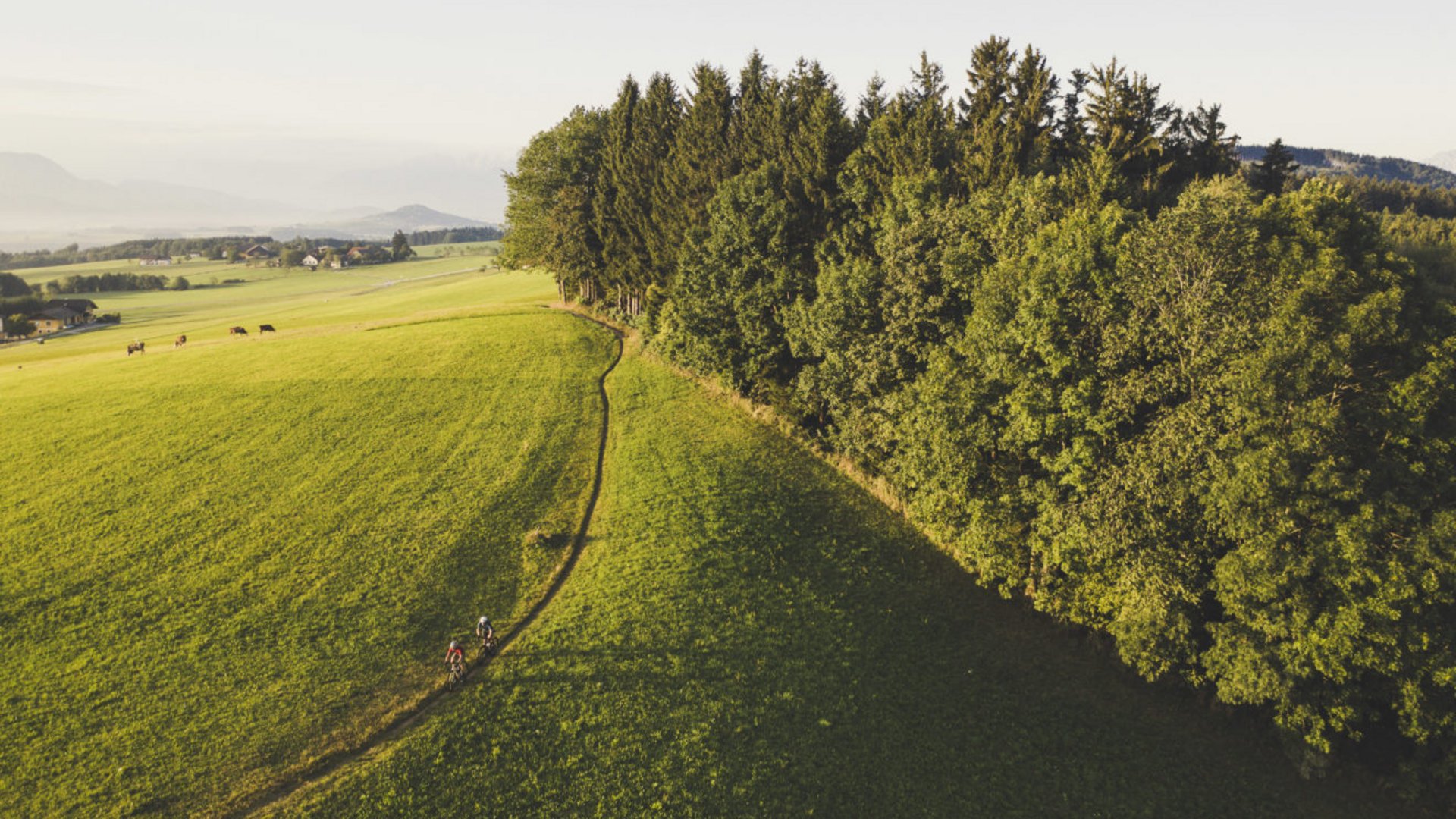 Zwei Radfahrer fahren auf einem Pfad neben einem Wald auf grünen Feldern