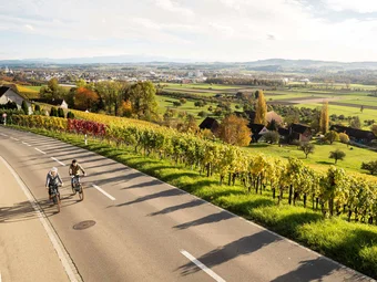 Thurgau Lake Constance © Switzerland Tourism - Daniel Loosli Two cyclists riding on a country road beside a vineyard in autumn