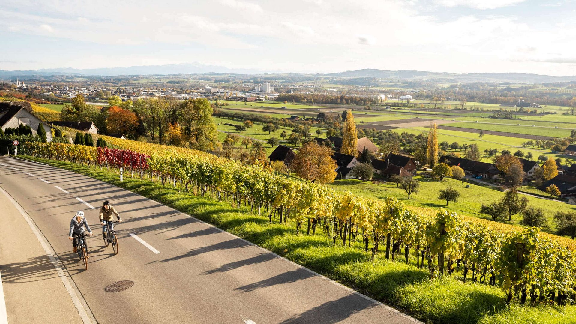 Two cyclists riding on a country road beside a vineyard in autumn