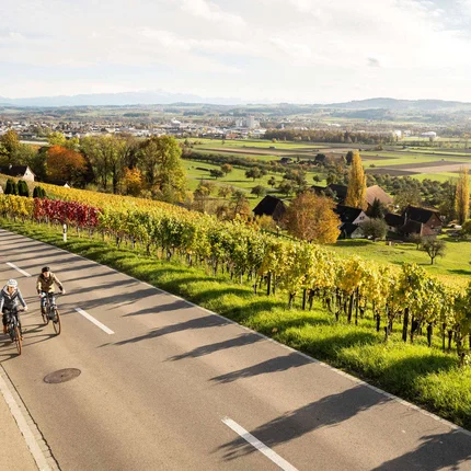 Twee fietsers op een landweg naast een wijngaard in de herfst