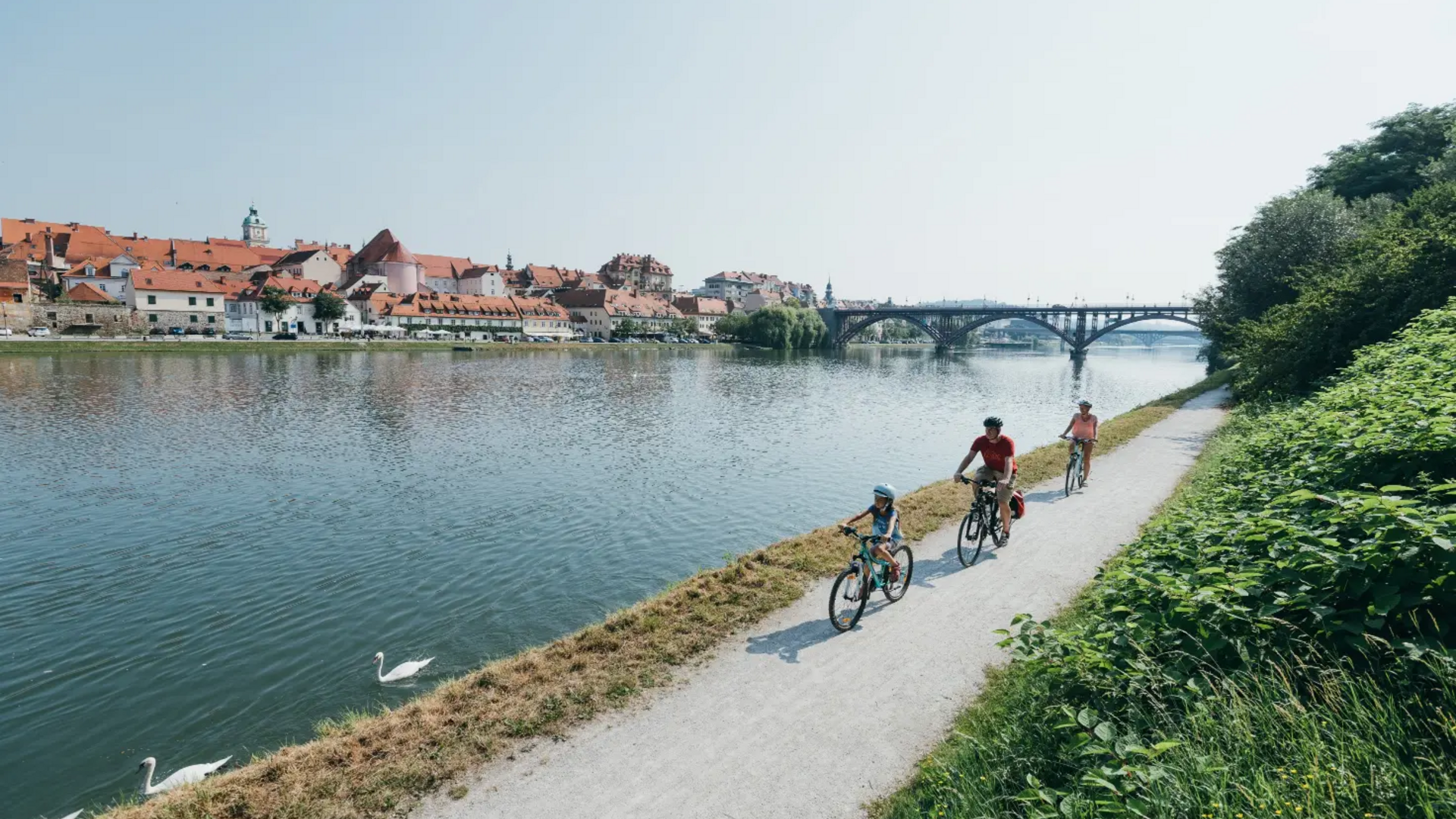 Family cycling on a path along the river with city and bridge in the background