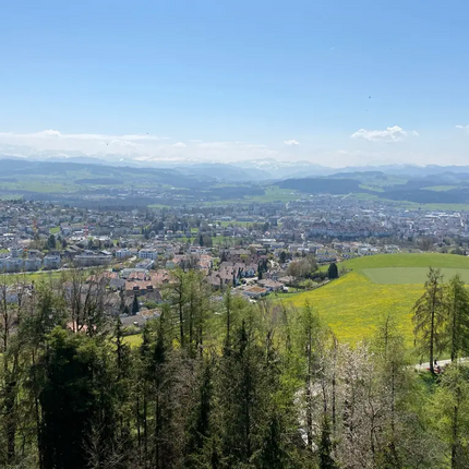 Panoramic view of a town with green fields and mountains in the background