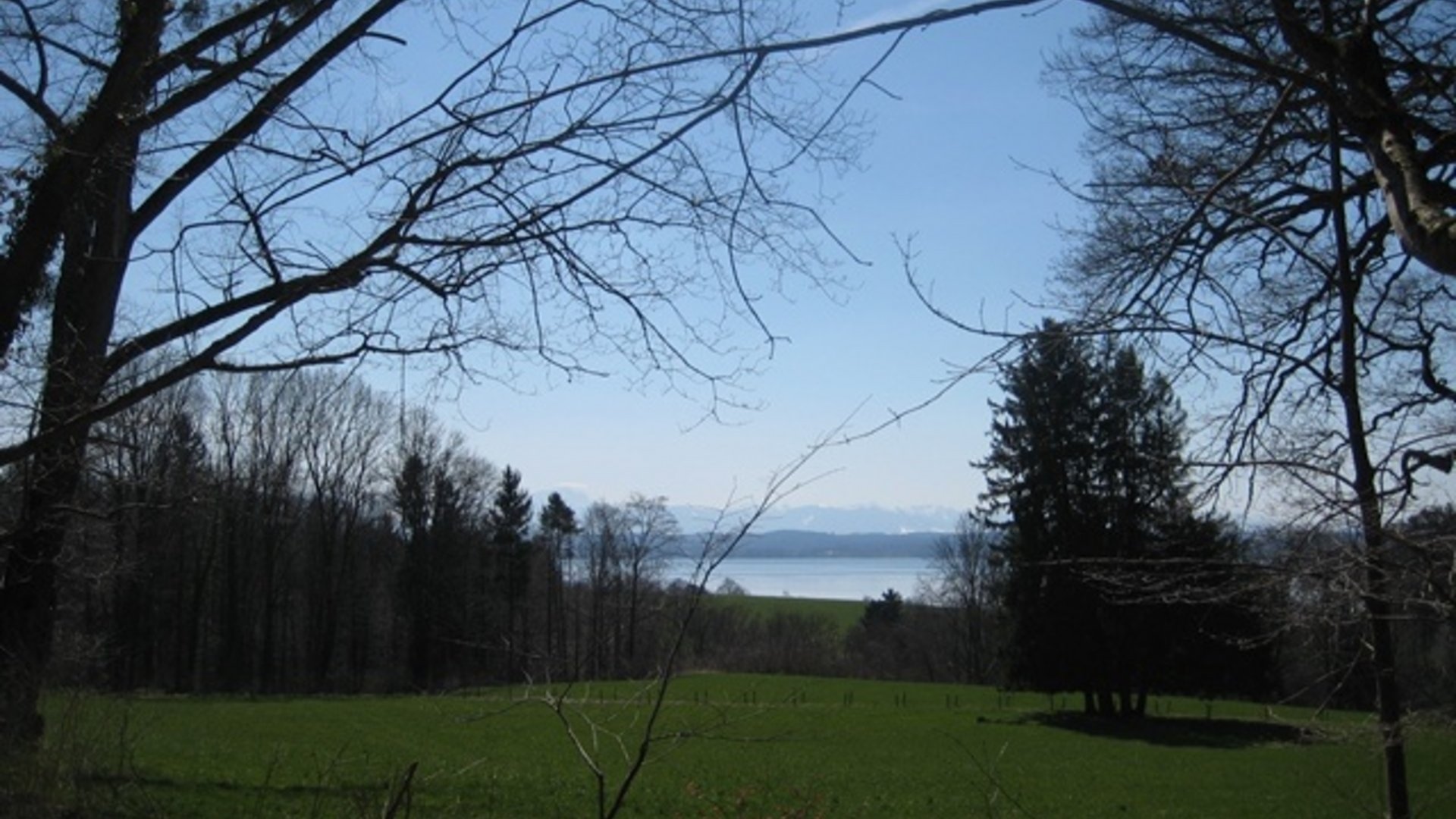Green field with bare trees and lake in the background under clear sky
