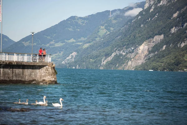 Switzerland Two cyclists on a lakeside promenade with swans and mountains in the background