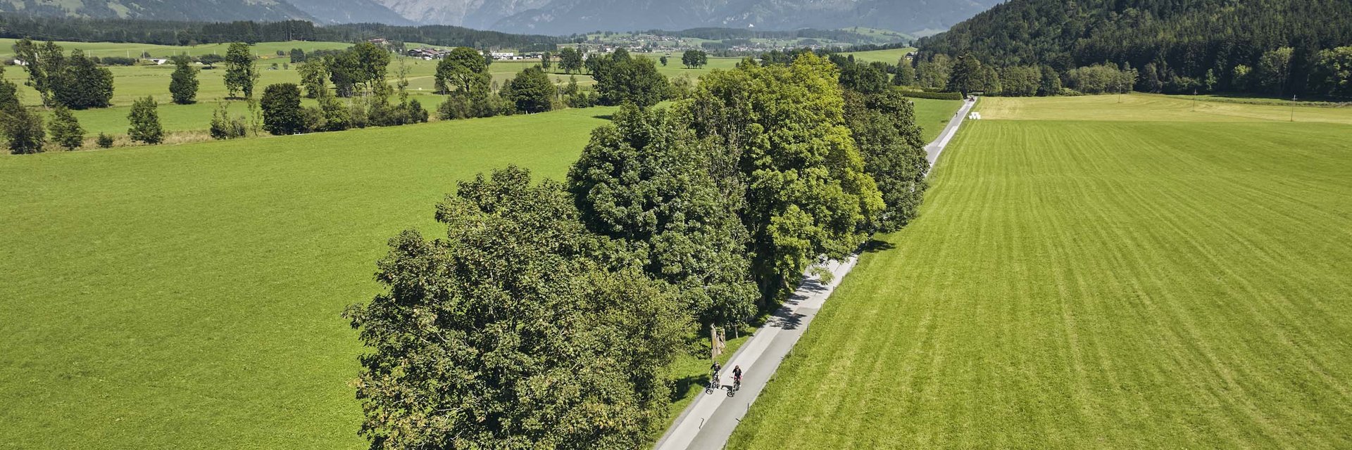 Cyclists on country road lined with trees and mountains in the distance