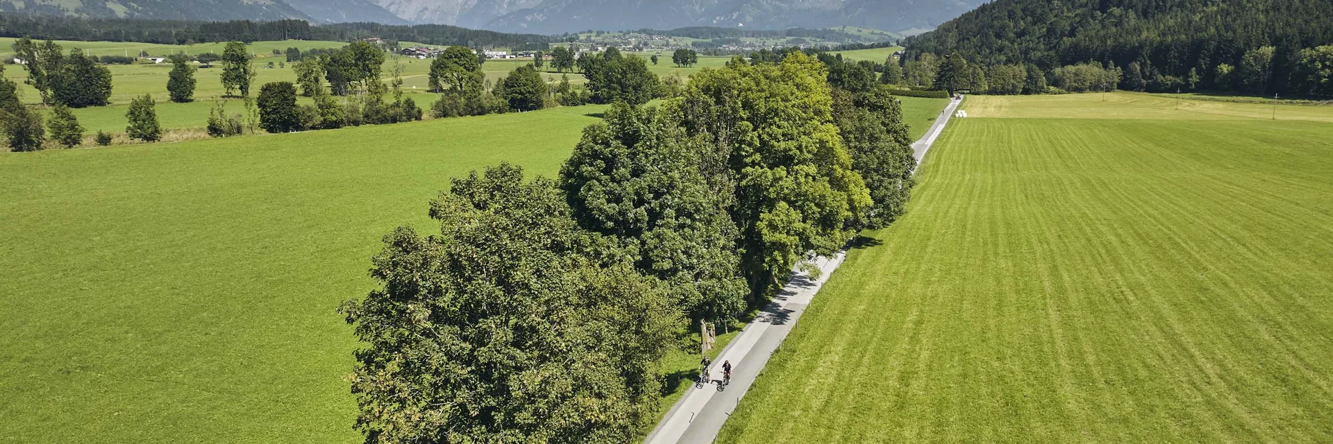 Cyclists on country road lined with trees and mountains in the distance