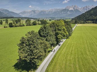 Cyclists on country road lined with trees and mountains in the distance