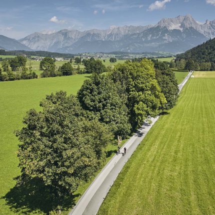 Cyclists on country road lined with trees and mountains in the distance