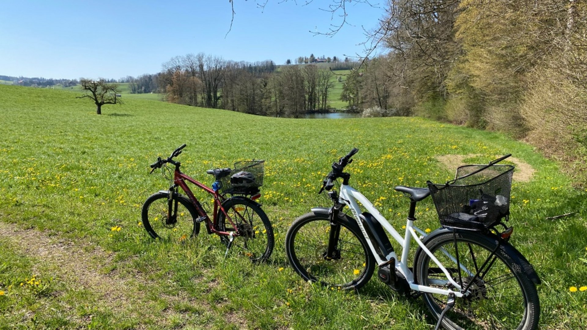 Two bikes on a grassy field near trees and a small pond under a clear sky