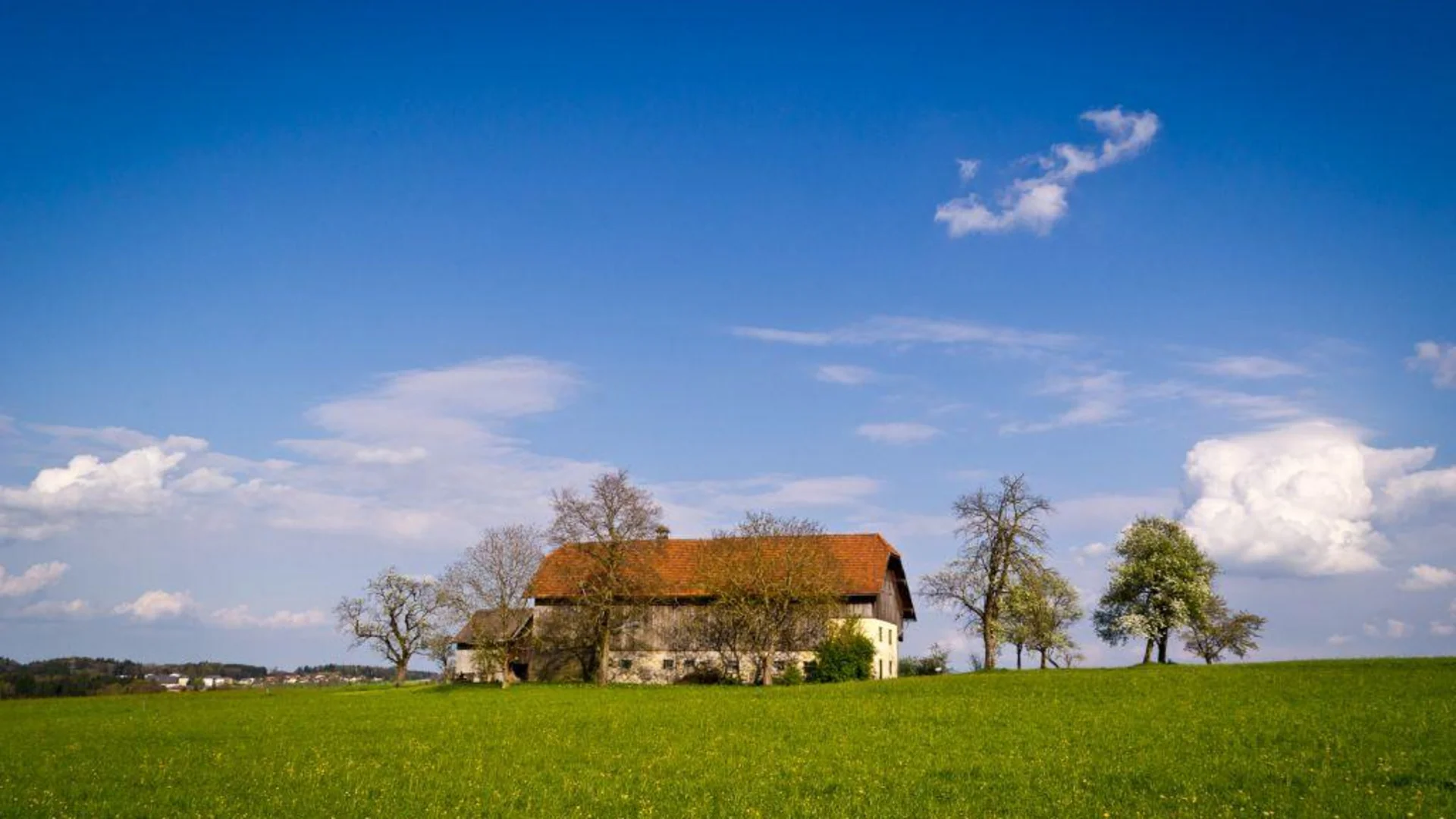 Tour-Detail © Gerald Fimberger Ein Bauernhaus auf einer grünen Wiese unter blauem Himmel mit vereinzelten Bäumen