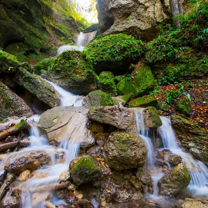 Kleiner Wasserfall fließt über moosbedeckte Felsen im grünen Wald