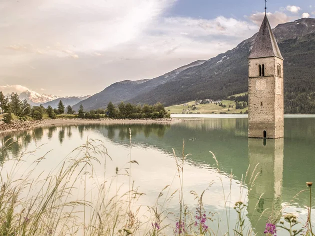 Ein Genuss-Radtag am Reschensee © IDM Südtirol - Marion Lafogler Unterwasserkirchturm im Reschensee vor Bergkulisse und Gras im Vordergrund