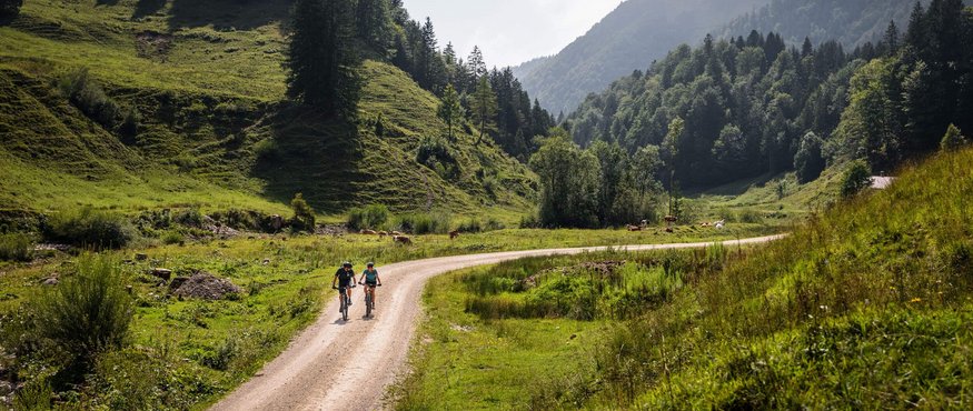 Two cyclists on a country road in a green mountainous landscape