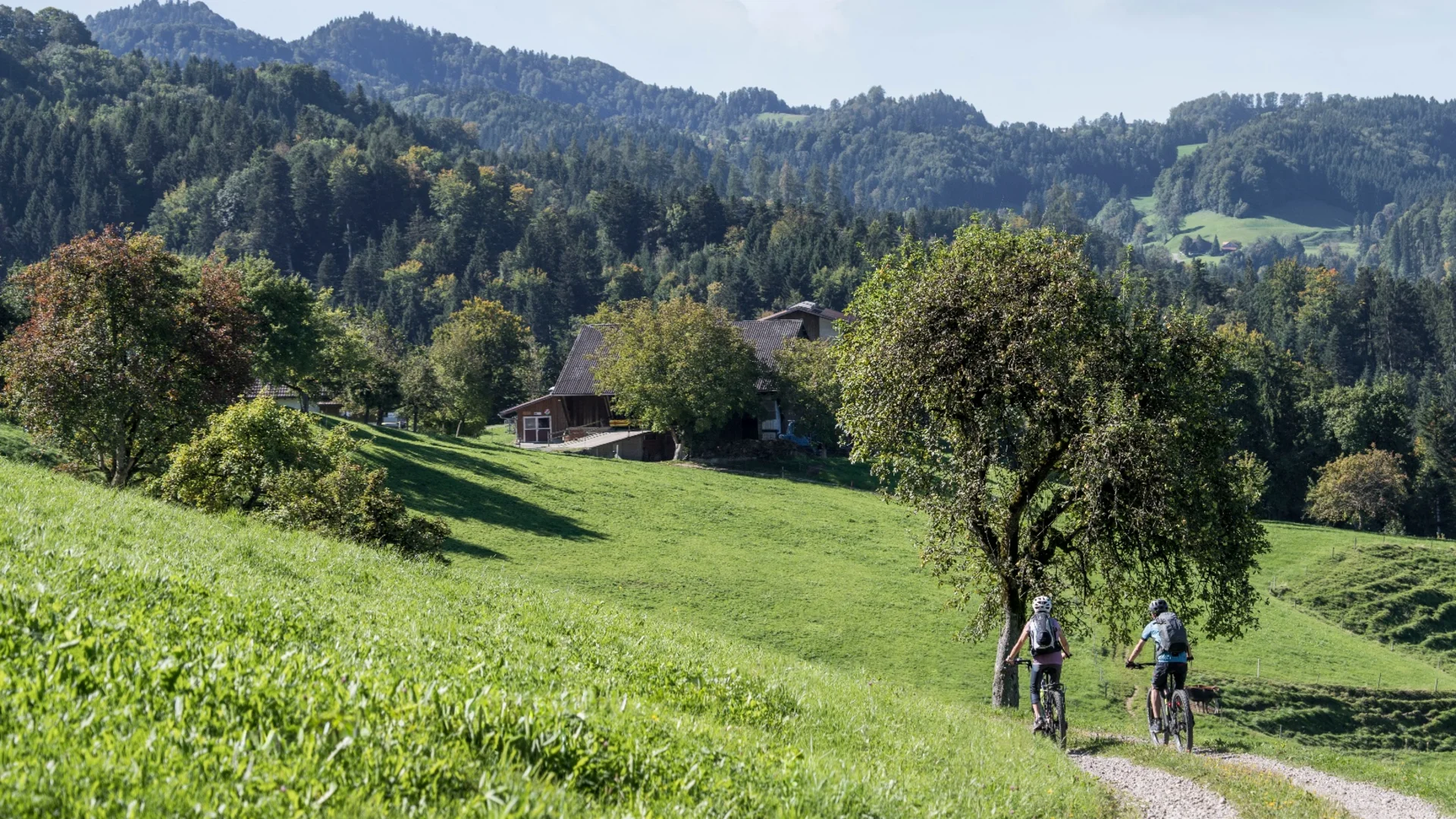Zwei Radfahrer fahren auf einem Weg in grüner Hügellandschaft mit Bergen