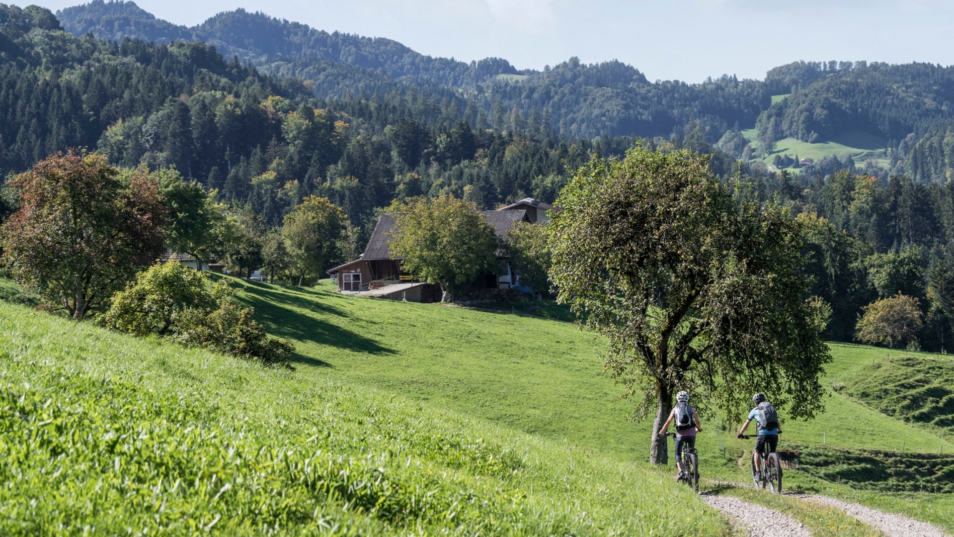 Two cyclists riding on a path in green hilly landscape with mountains