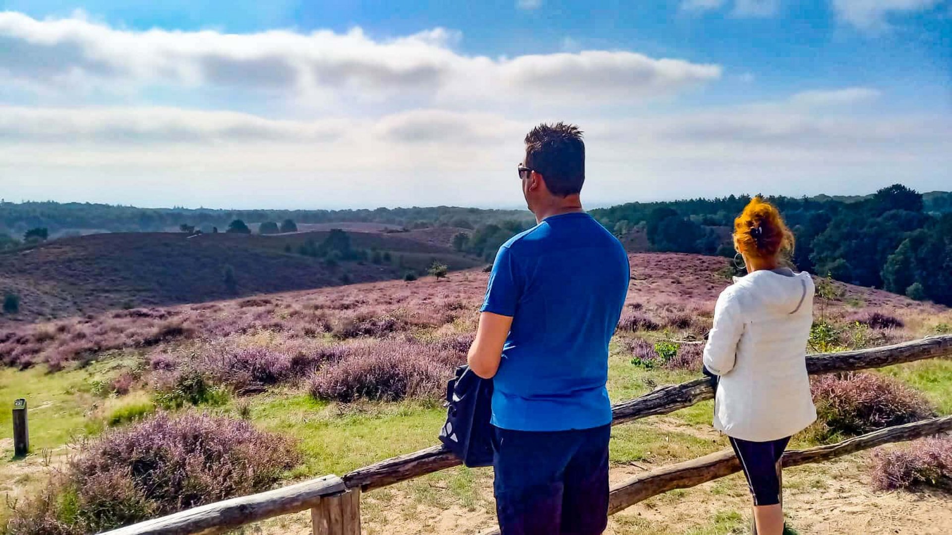 Two people looking at a vast heath landscape under a blue sky