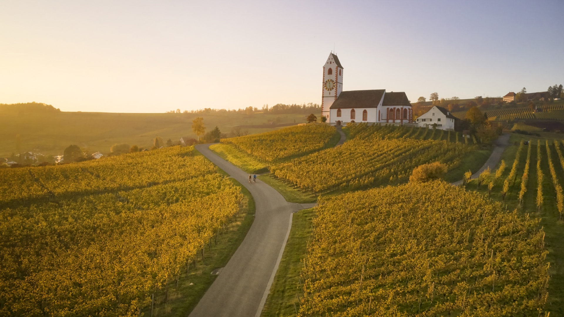 Church on hill surrounded by vineyards at sunset