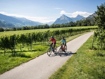 Heidiland Two cyclists on a path through vineyards with mountains in background