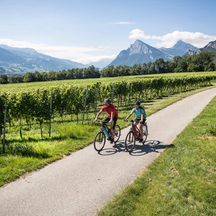 Two cyclists on a path through vineyards with mountains in background