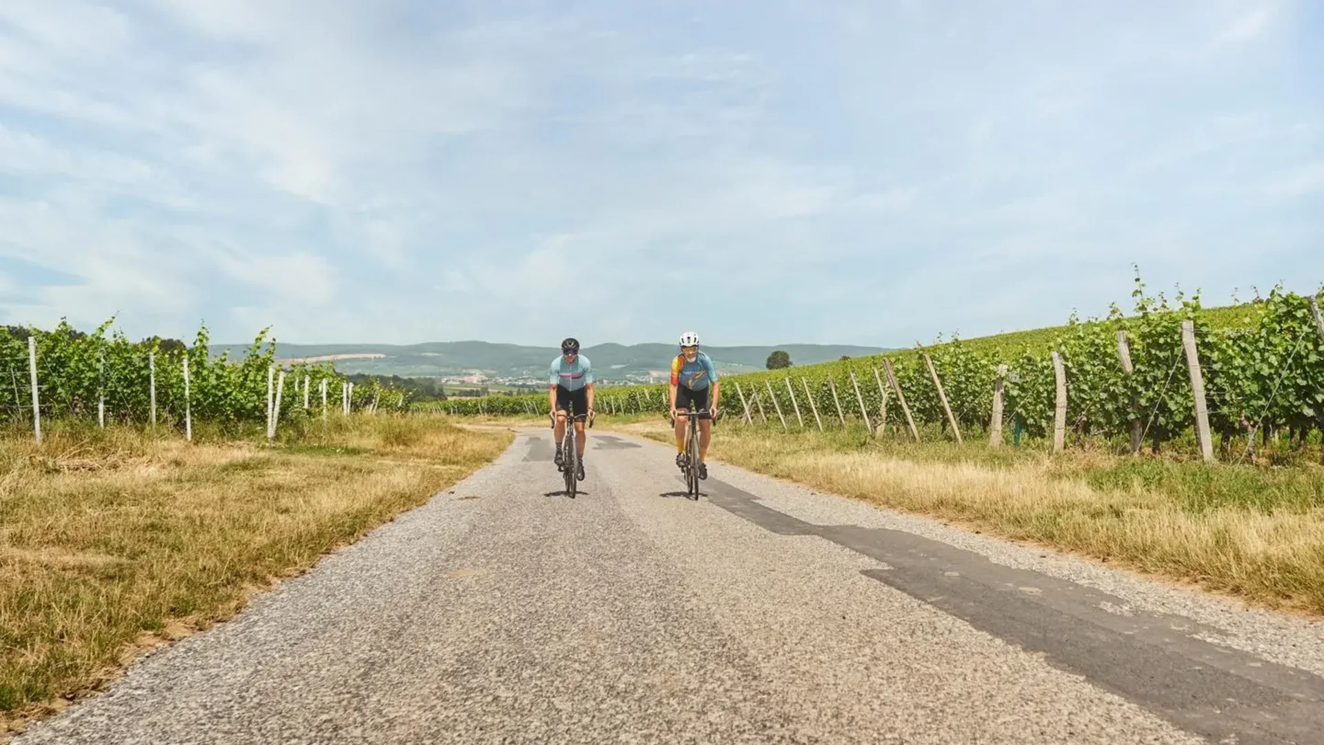 Tour-Detail © MaxonesPhoto Zwei Radfahrer fahren auf einer Landstraße durch Weinberge bei klarem Himmel