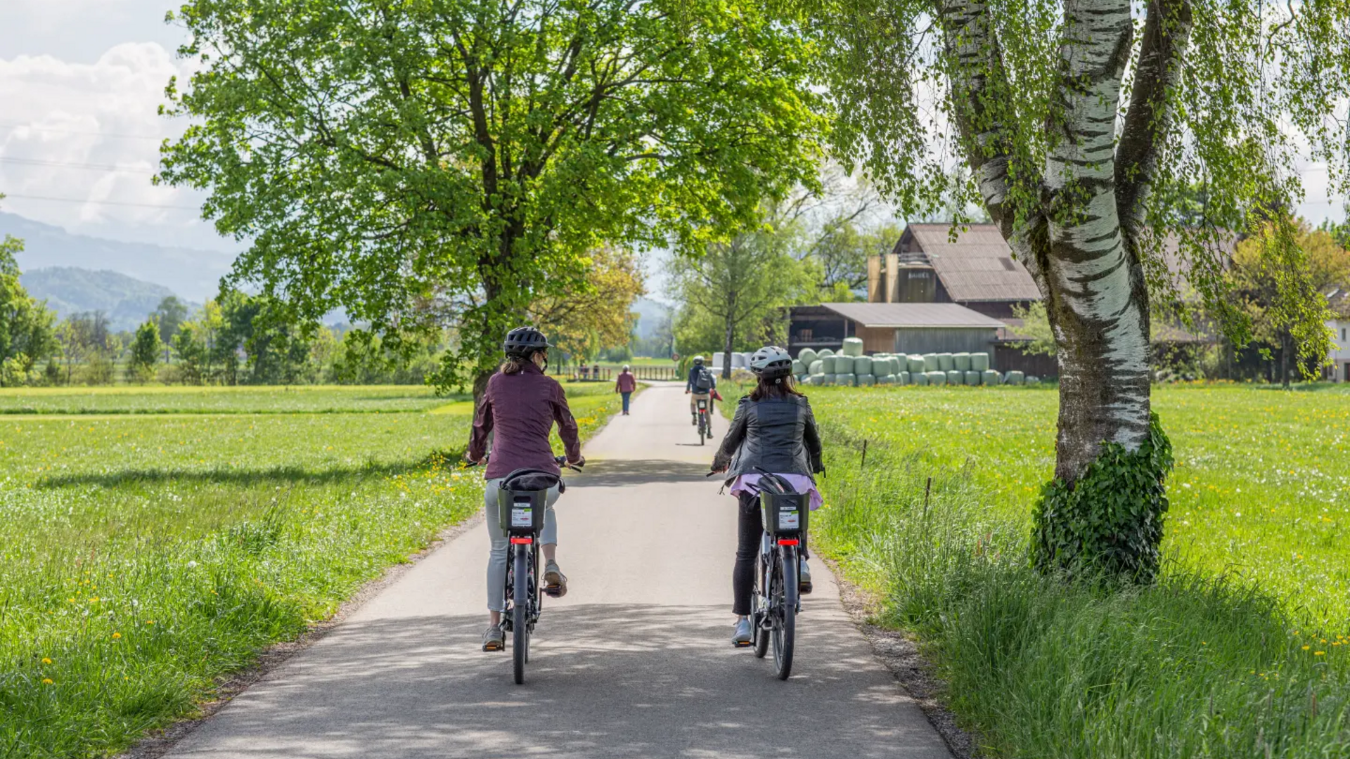 People cycling with helmets on a path through green countryside