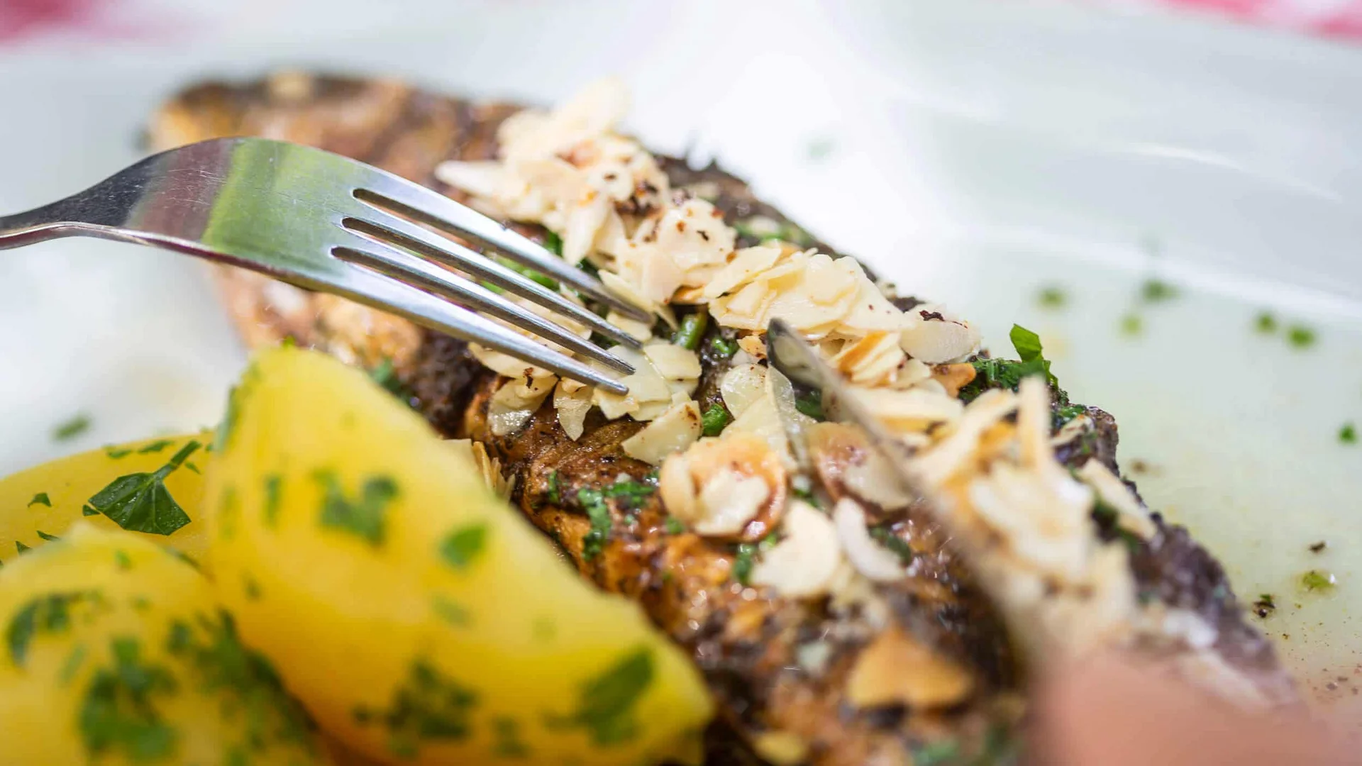 Herbstgenuss im Salzburger Seenland © Velontour Gegrillter Fisch mit Mandelblättchen und Petersilienkartoffeln auf weißem Teller