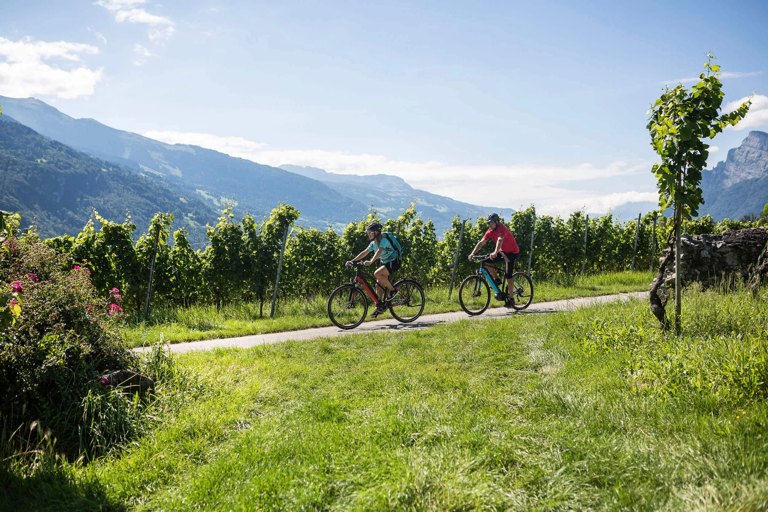 Zwitserland Twee fietsers op een pad door groene wijngaarden met bergen op de achtergrond