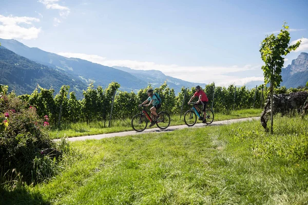 Switzerland Two cyclists riding on a path through green vineyards with mountains in the background