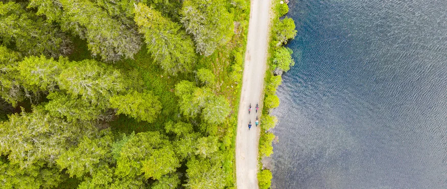 Drie fietsers op een pad naast een meer, omgeven door groen bos