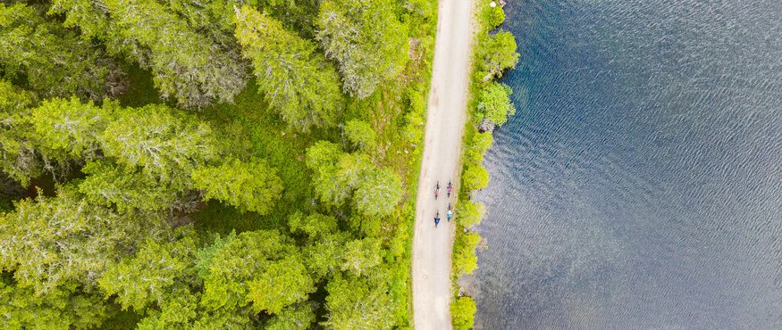 Three cyclists on a path beside a lake, surrounded by green forest