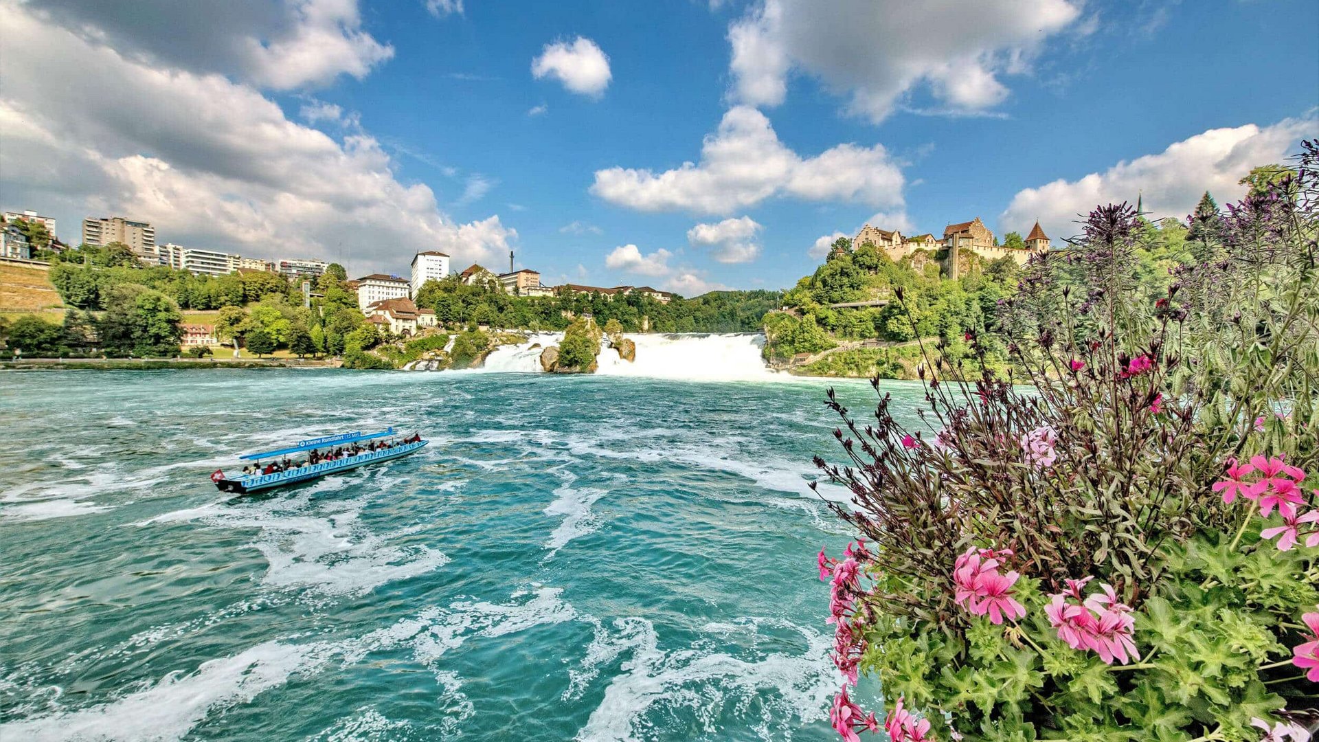 Boat on Rhine Falls with flowers and castle ruins on a sunny day