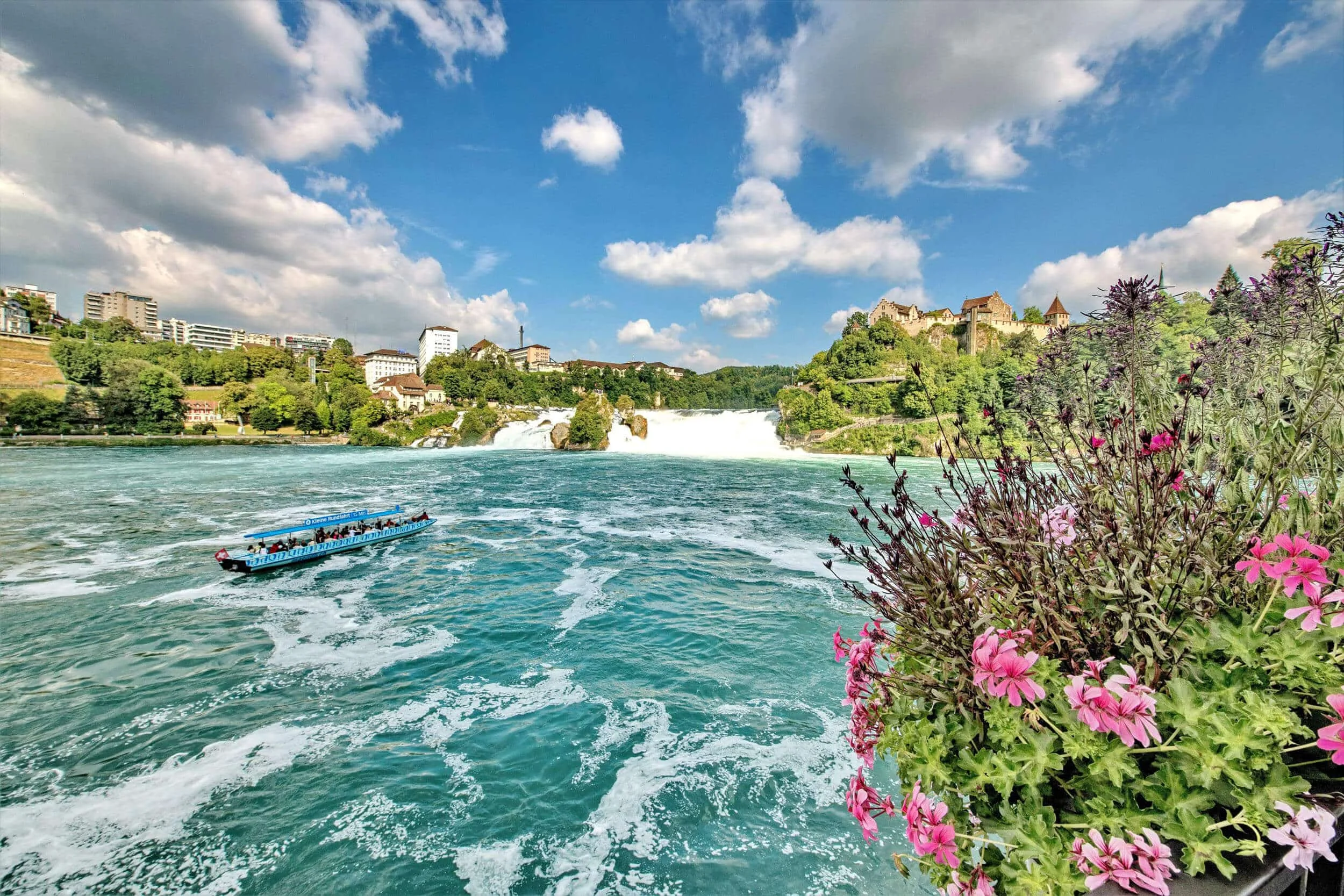 Boot auf dem Rheinfall, blühende Pflanzen und Burgruine bei sonnigem Himmel